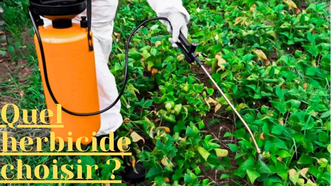 Quel herbicide fonctionne le mieux contre différents types de mauvaises herbes ? Une comparaison complète