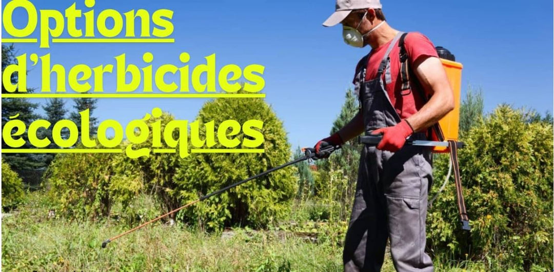 Gestion des mauvaises herbes respectueuse de l'environnement : Exploration des options d'herbicides écologiques