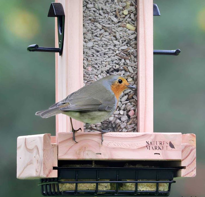 mangeoire oiseaux sur pied