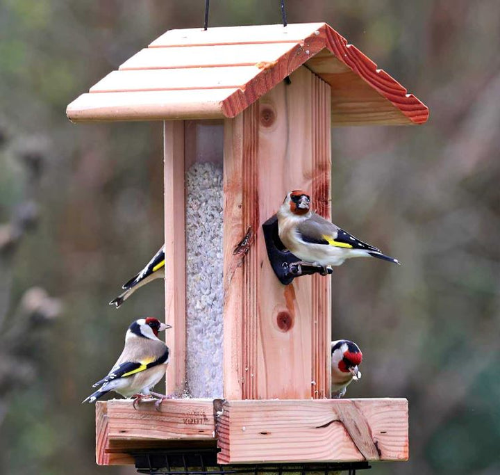 mangeoire oiseaux sur pied